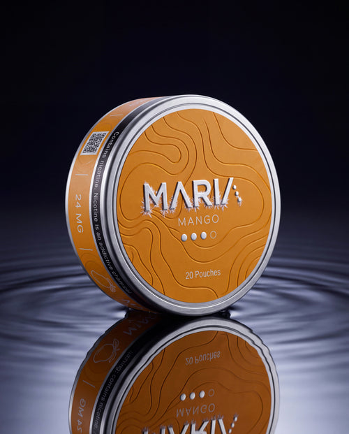 MARIA Mango tin, hero angle